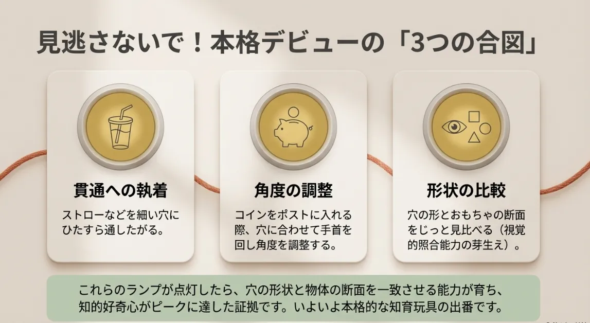 2026年最新｜「紐通し」デビューを見極める3つのサイン