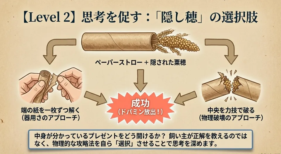 「見えているのに届かない」が思考を深くする