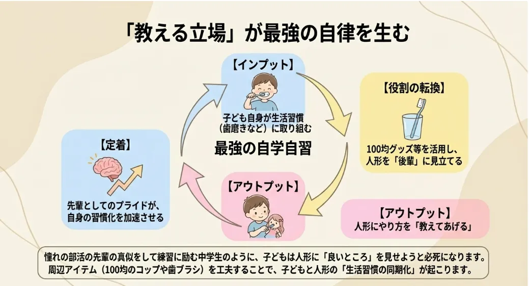 メルちゃんの「魔法の変化」が好奇心と社会性を広げる