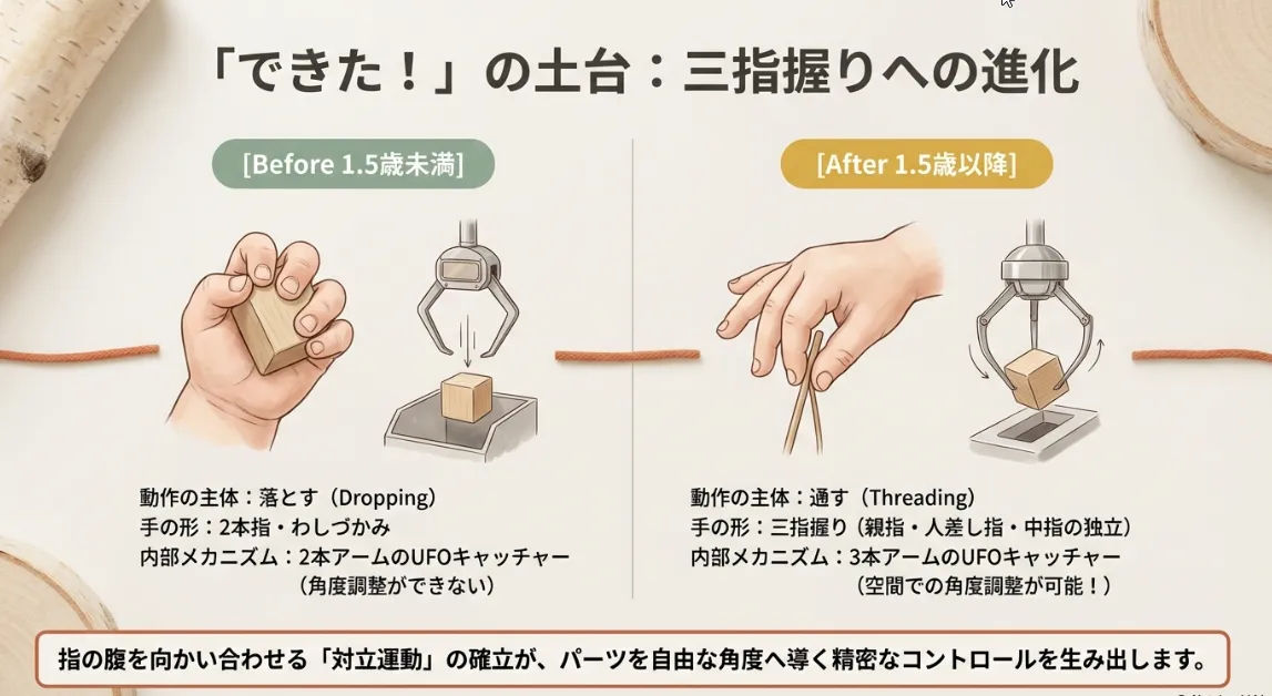 三指握りの完成度をチェック！指先で「点」を捉える発達の秘密