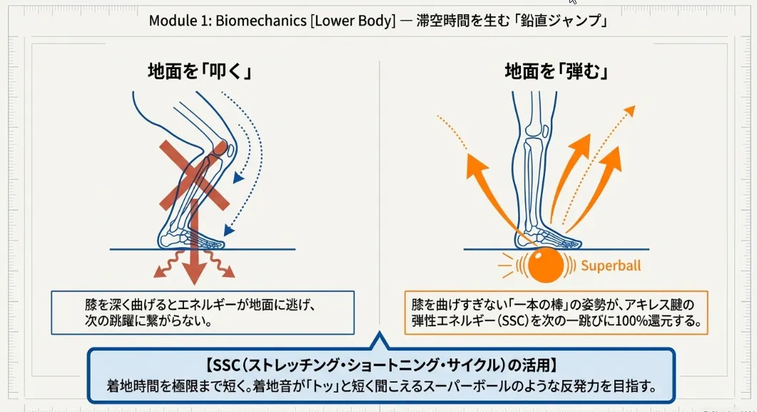 最短で成功を掴む！運動学的3ステップトレーニング