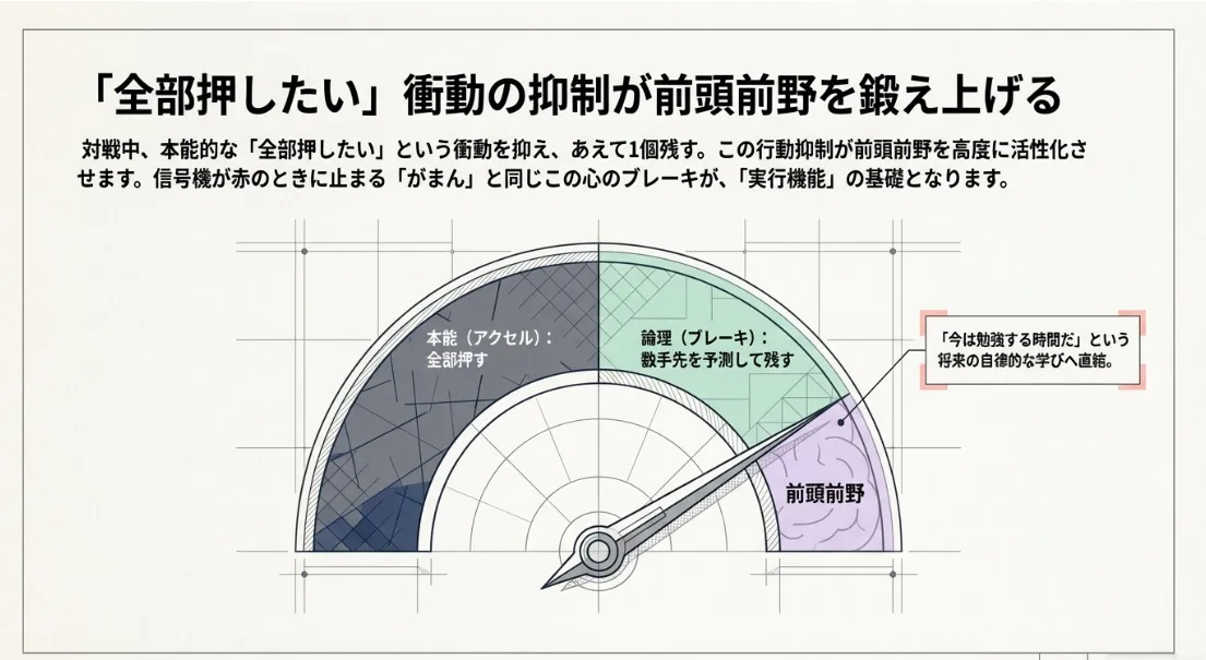 知育効果を最大化！数手先を読む「実行機能」を育てる教え方