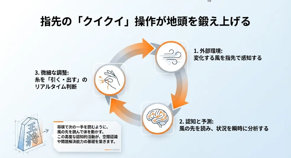 糸を「クイクイ」と引く操作に挑戦。
