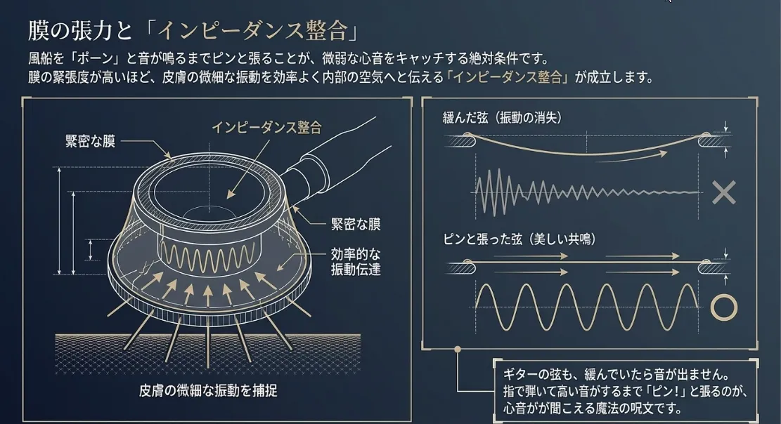 聞こえる鍵は「膜の張り」と「密閉度」！デシベルロスを防ぐコツ