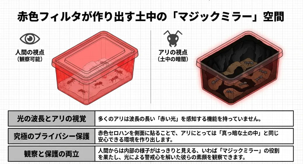 赤色透過フィルタでアリの警戒心を解く「疑似暗黒」ハック